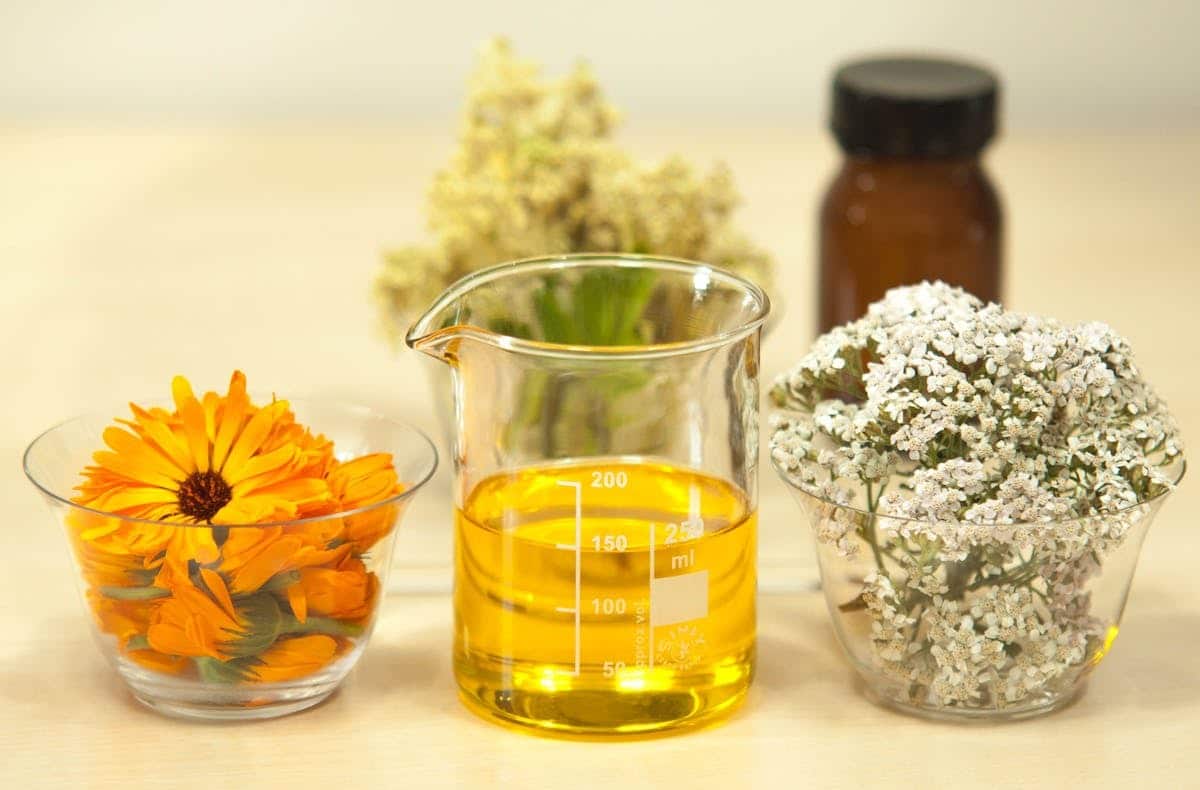 Les multiples bénéfices des huiles végétales pour sublimer votre routine beauté
