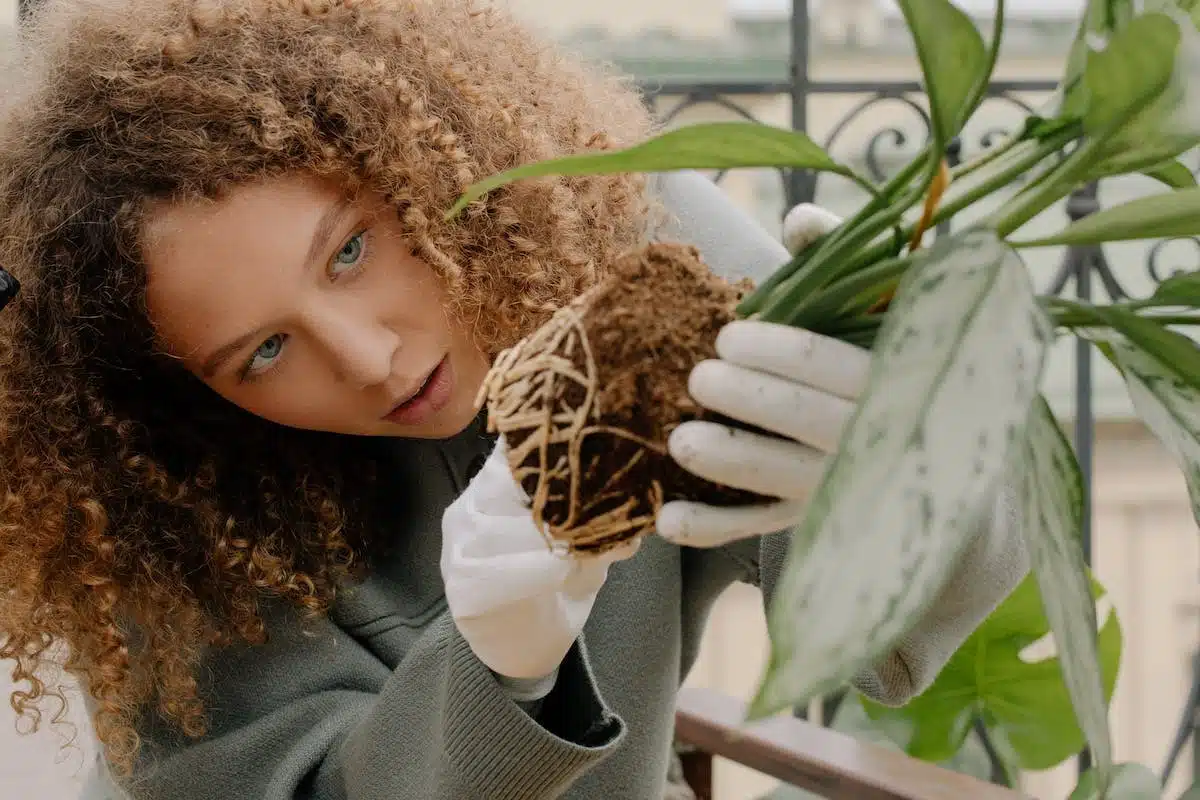 Les incroyables vertus des plantes pour sublimer vos cheveux