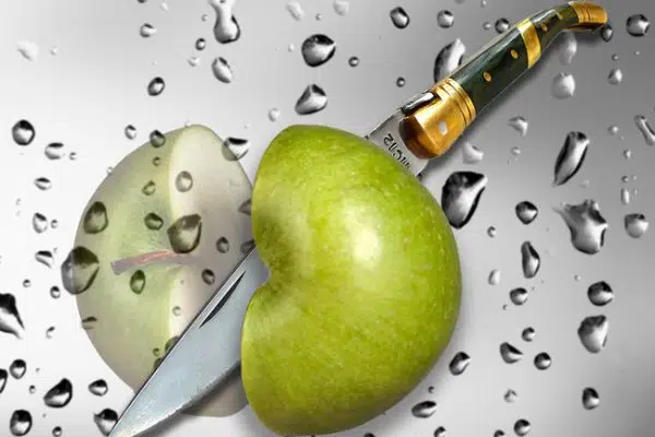 Pourquoi les pommes peuvent-elles être consommées toute l’année ?