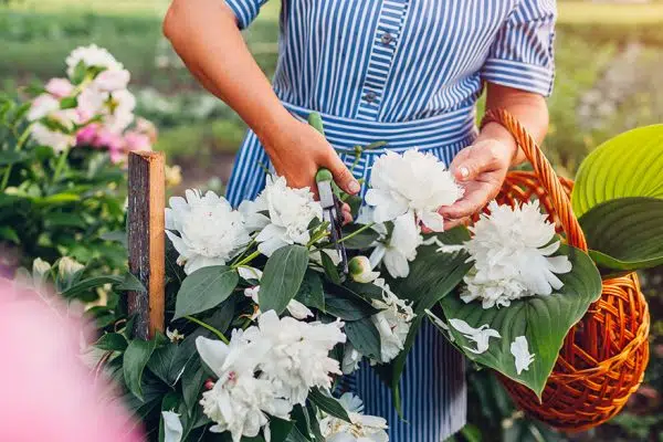 Comment s’habille une femme de 70 ans ?