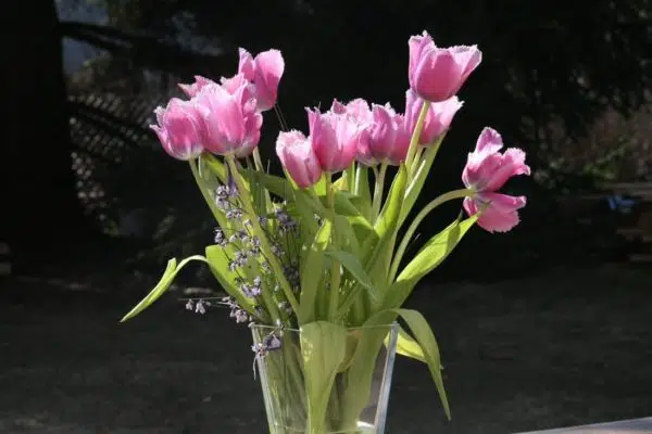 Quelle est la signification des fleurs ?