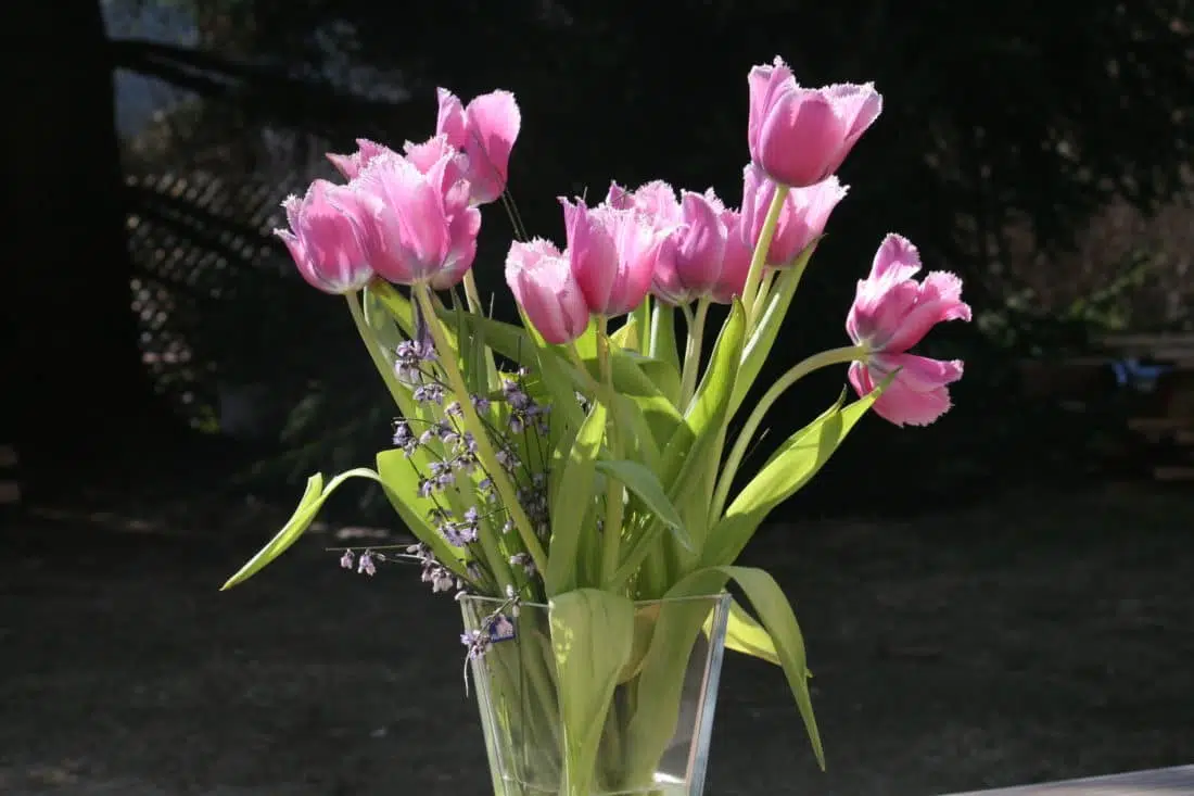 Quelle est la signification des fleurs ?